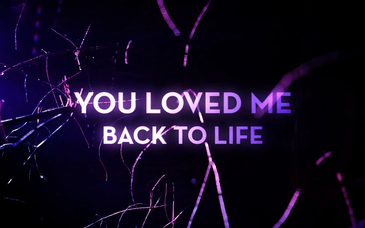 Loved Me Back to Life